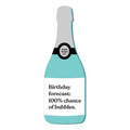 Wine Wash Co 100% Bubbles Scrubbly Sponge