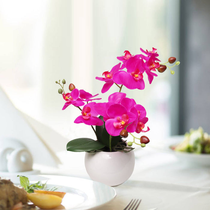13-Inch Fuchsia Phalaenopsis Orchid Flowers In 5-Inch Round