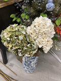 17” mini autumn hydrangea bush