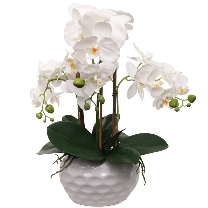 19" White Phalaenopsis Orchid Flowers In Dimple White Pot