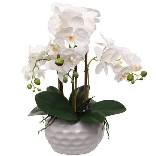 19" White Phalaenopsis Orchid Flowers In Dimple White Pot