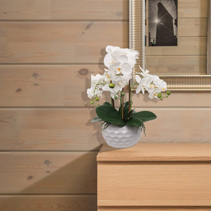 19" White Phalaenopsis Orchid Flowers In Dimple White Pot
