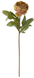 24 Inch Green w/Pink Faux Dried Peony Stem
