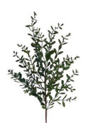 32"L WILD BOXWOOD SPRAY GREEN