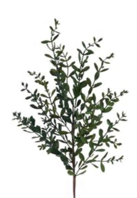32"L WILD BOXWOOD SPRAY GREEN