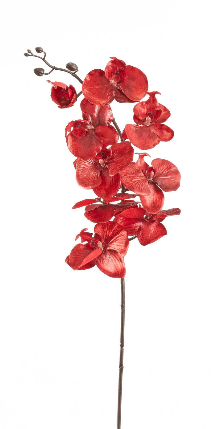 40" Phalaenopsis Orchid Spray, Brick Red