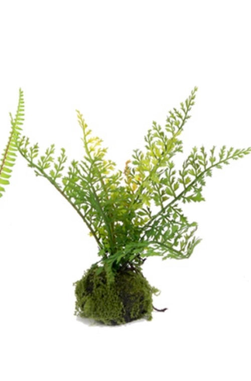9" SMALL FERN