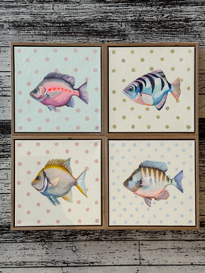 Butterfish