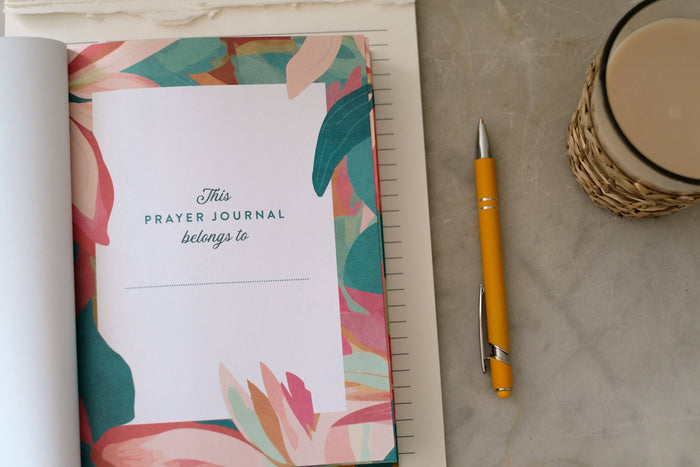 A Year of God's Goodness:A Prayer & Praise Tracker for Women