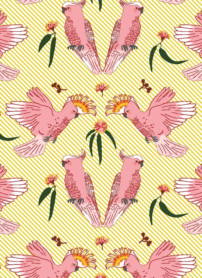 All Wrapped Up Australia Notecards