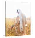 Already to Harvest - Canvas