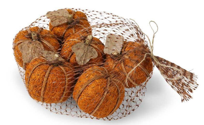 Bag of 6 orange husk pumpkins