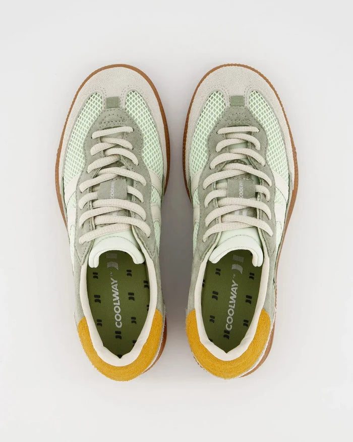 Baresi - Light Green