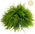 Bead Grass Half Ball, 22" UV