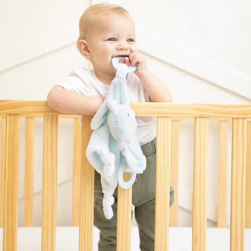 Bella Tunno - Teether Buddy - Danny the Dog - Findlay Rowe Designs