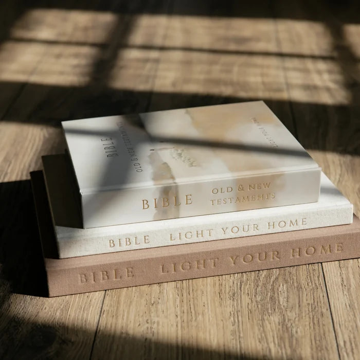Bible - Jesus Leaves The 99