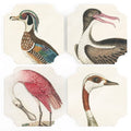 Bird Coasters  - Set of Four