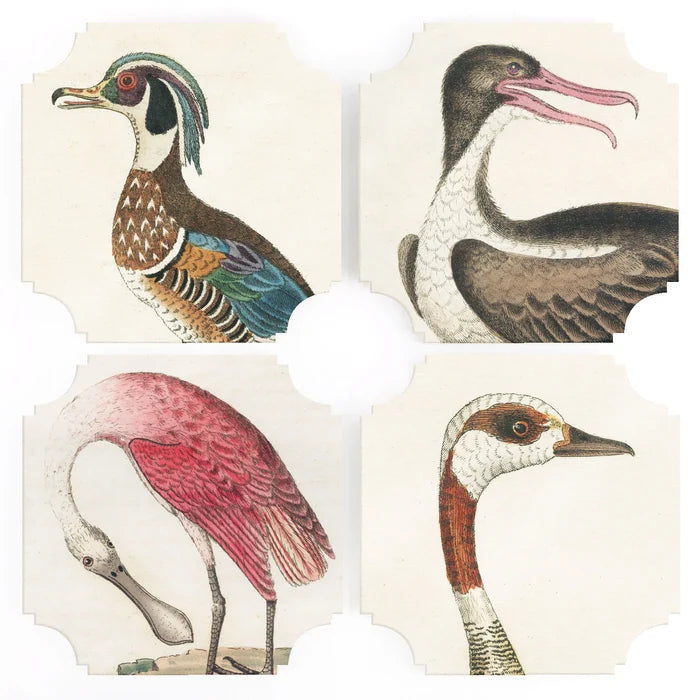 Bird Coasters  - Set of Four