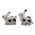 Black bunny pair