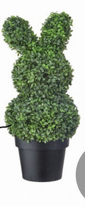 Boxwood bunnies uv rated