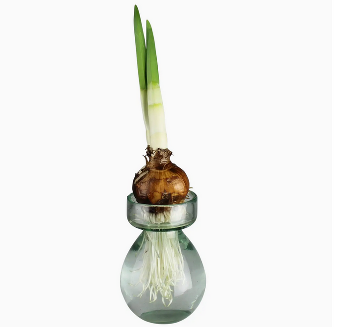Bulb Vase, Recycled