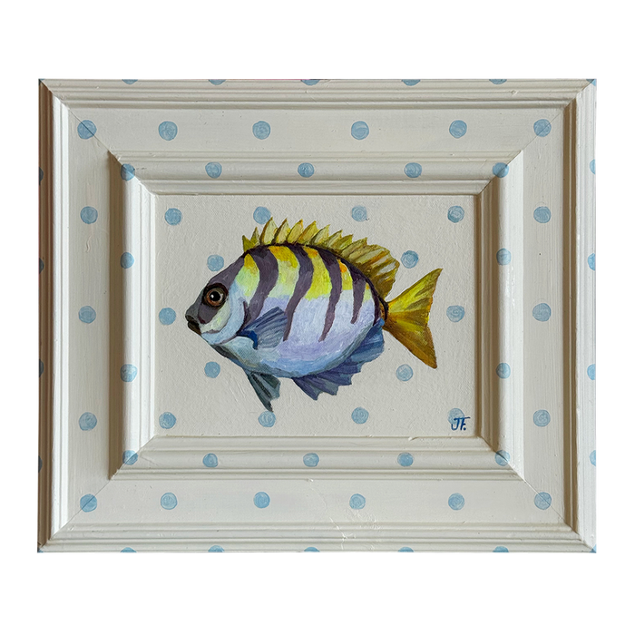 Butterfish