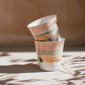 Carousel Cup - Solari