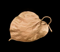 Catalpa Dish