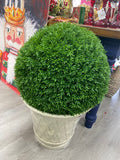 Cedar topiary ball uv rated