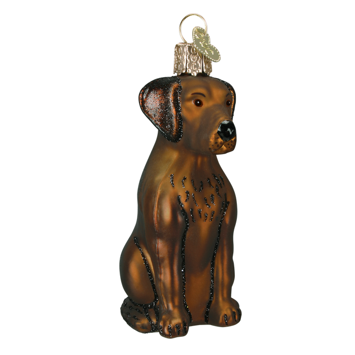 Chocolate Labrador Ornament