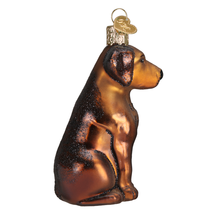 Chocolate Labrador Ornament