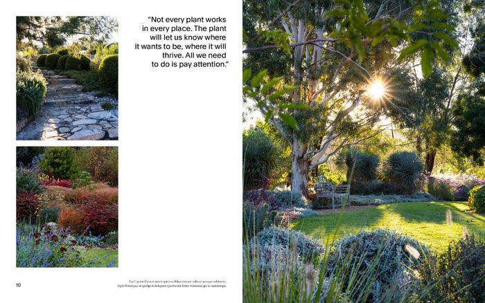 Cottagecore Gardens
