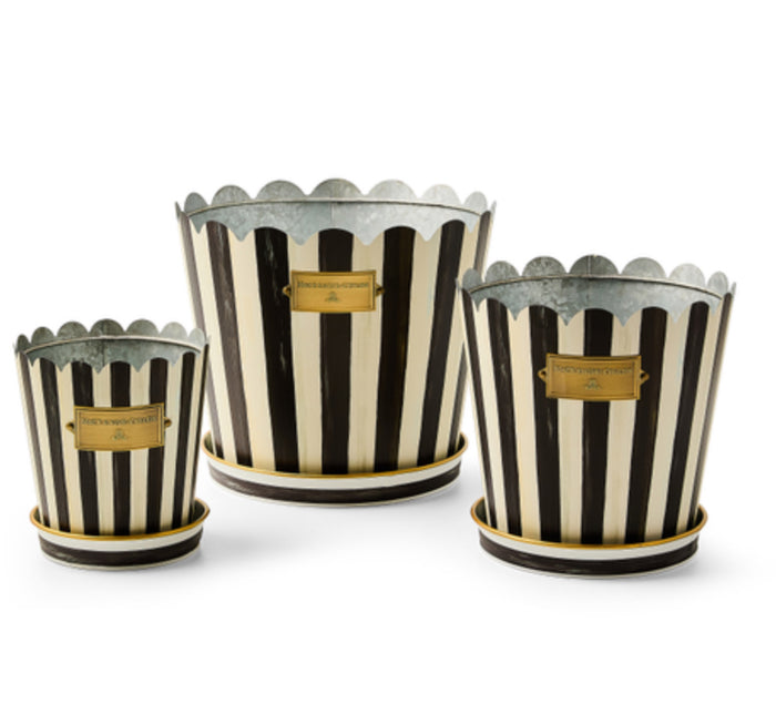 Courtly stripe pots & saucers