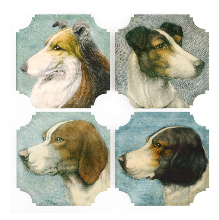 Dog Coasters
