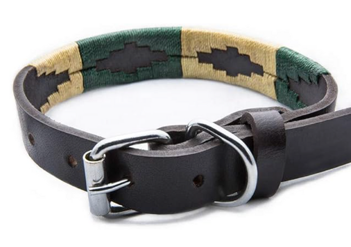 Dog Collar - Palm Desert