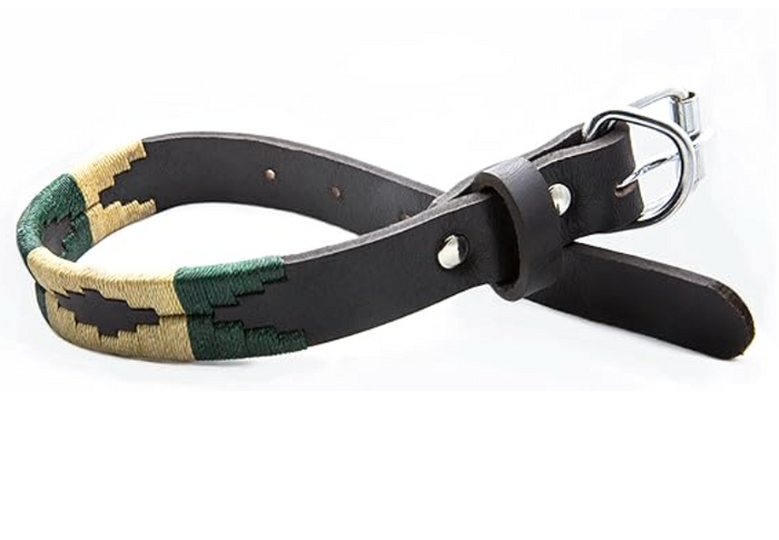 Dog Collar - Palm Desert