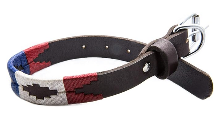 Dog Collar - Patriot