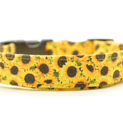 Dog Collar - Sunflower - Findlay Rowe Designs