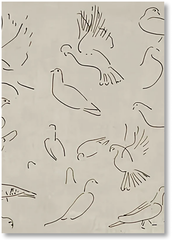 Dove - Print
