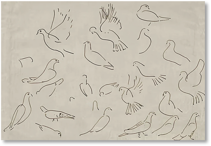Dove - Print
