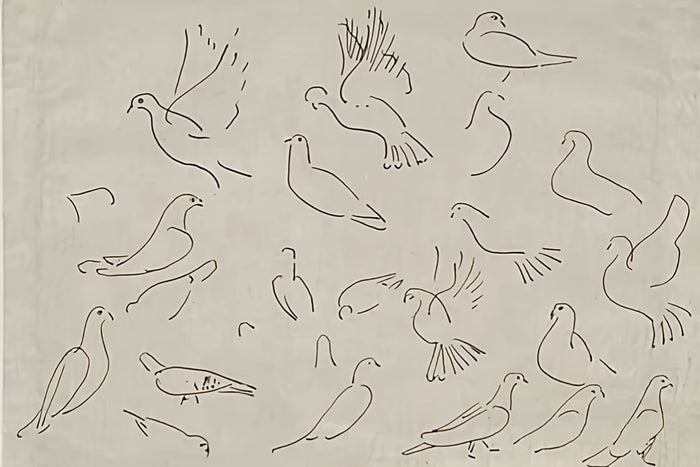 Dove - Print