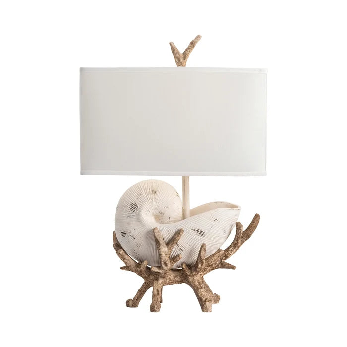 Driftwood & Shell Table Lamp