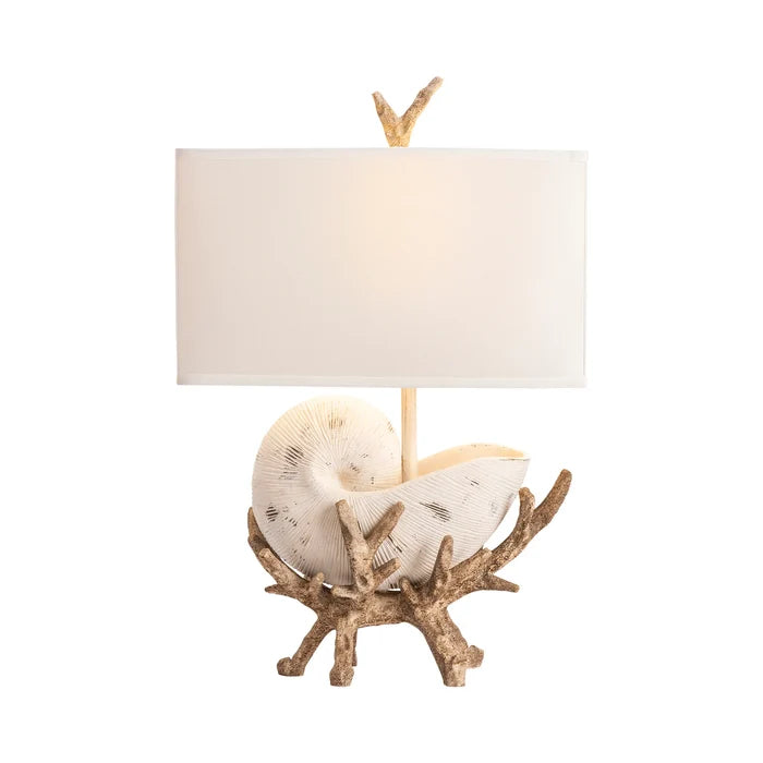 Driftwood & Shell Table Lamp