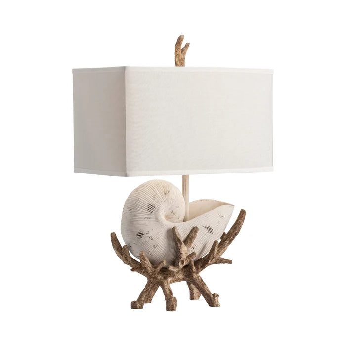 Driftwood & Shell Table Lamp