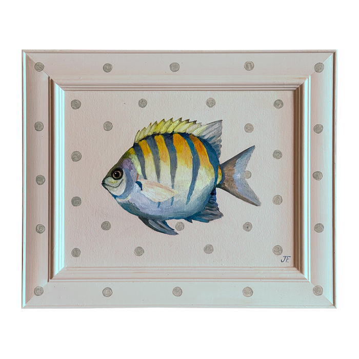 Fashionista Fish