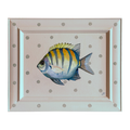 Fashionista Fish