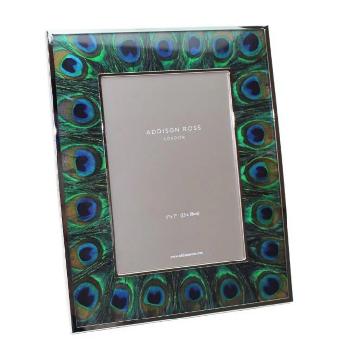 Faux Peacock Feather & Silver Frame 5x7