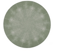 Faux Shagreen Placemat, Sage
