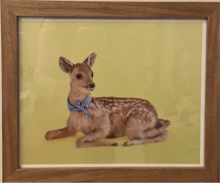 Fawn Print