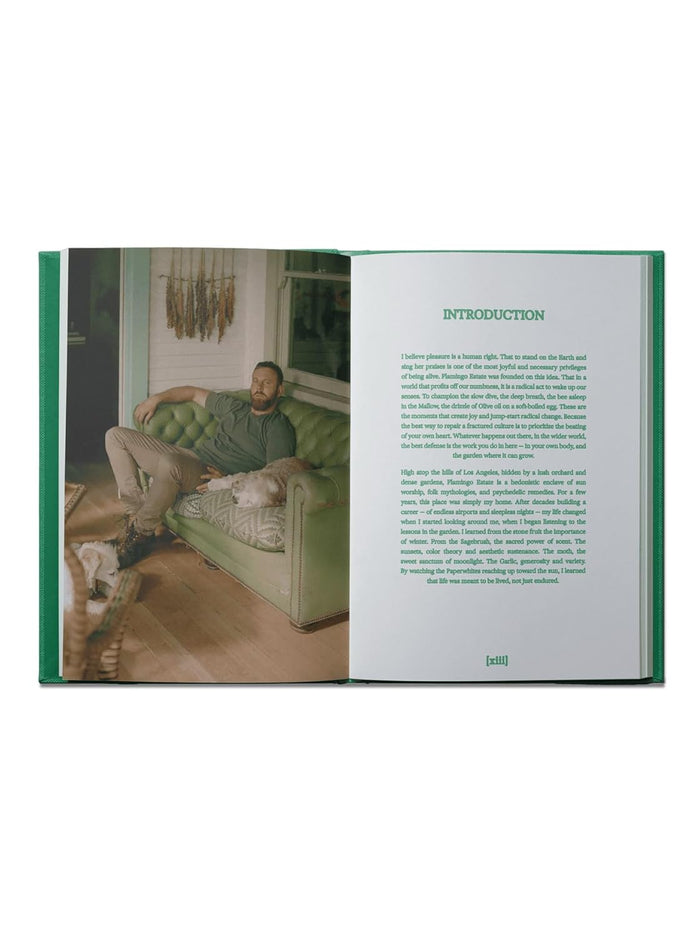 Flamingo Estate - The Guide To Becoming Alive